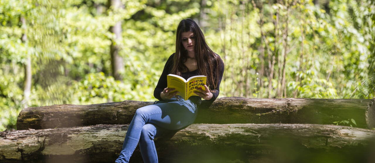 lesen.jpg Mit deinem Röntgenblick entdeckst du jede Schwachstelle und schliesst diese umgehend.
