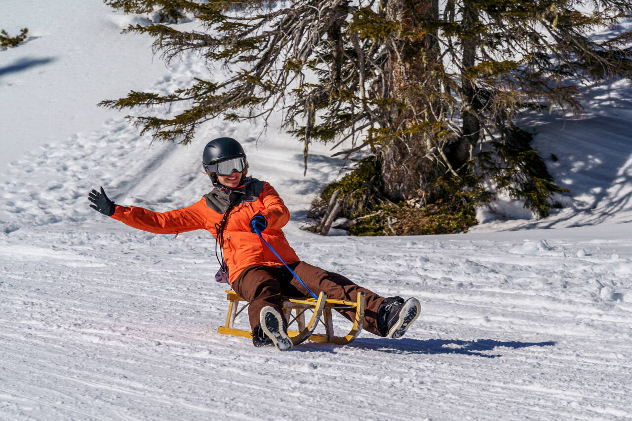 Du willst IT-Projekte leiten und aktiv gestalten? Dann bist du bei uns genau richtig.
